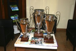 Кубки, которые получат победитель и призёры Marbella cup